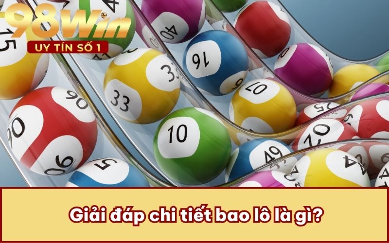 Giải đáp chi tiết bao lô là gì?